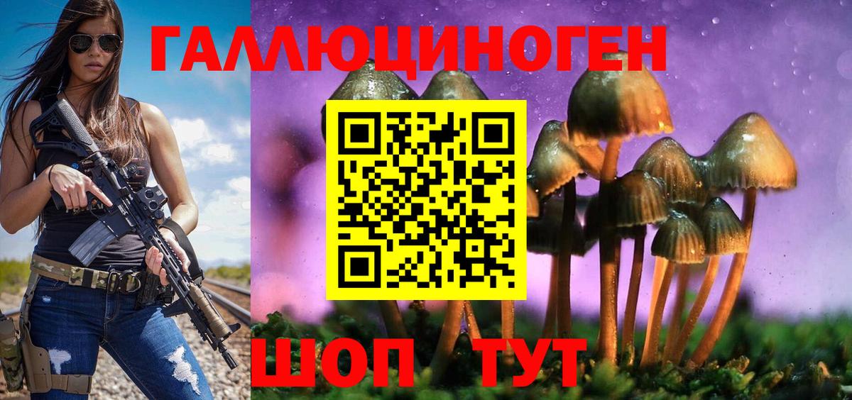Псилоцибиновые грибы MAGIC MUSHROOMS  Вход с VPN  Лабытнанги 
